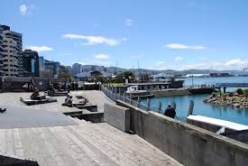 Wellington waterfront is full of places to sit, swim, get close to the water and enjoy the invigorating breezes (and the wildlife, if we’re lucky)