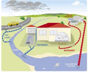 This image has an empty alt attribute; its file name is Stormwater-and-sewer-diagram-from-roundrocktexas.gov_.jpg